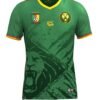 Cameroun home match 25/26