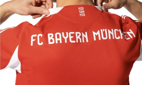 Bayern munich home match 25/26