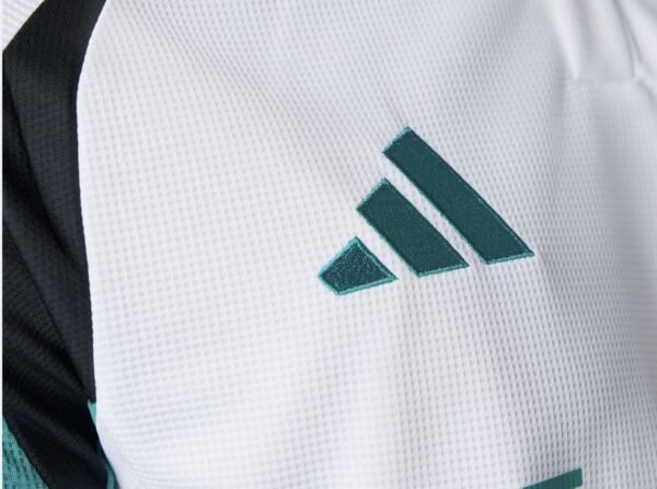 Newcastle third fan 24/25