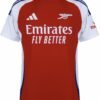Arsenal home fan 24/25