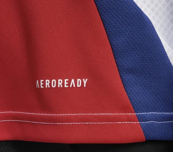 Arsenal home fan 24/25