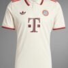 Bayern munich third fan 24/25