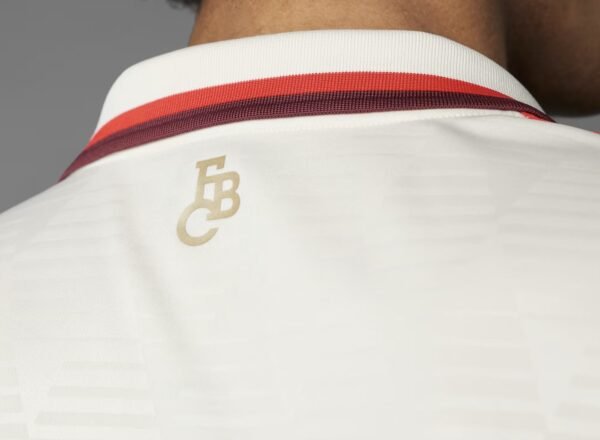 Bayern munich third fan 24/25