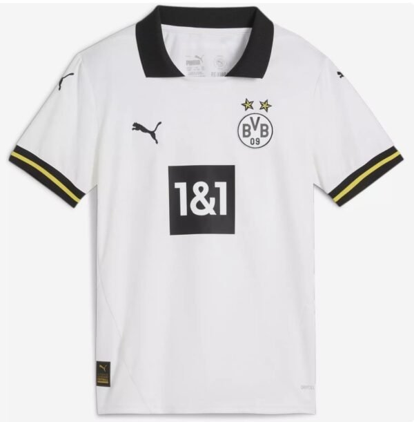 Dortmund third fan 24/25