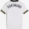 Dortmund third fan 24/25