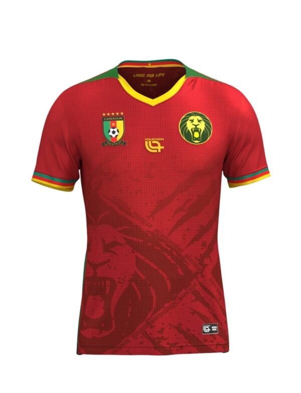Cameroun away match 25/26