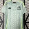 Mexique away fan 24/25