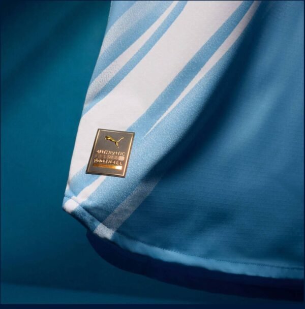 Manchester city home match 25/26