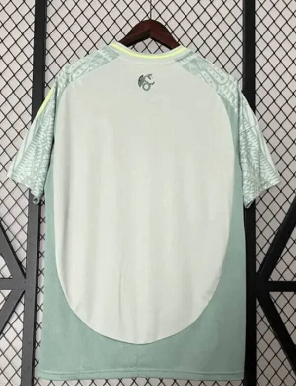 Mexique away fan 24/25